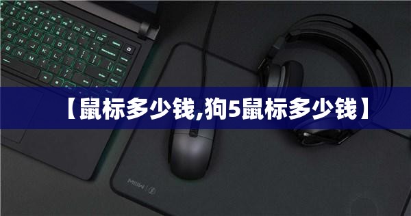 【鼠标多少钱,狗5鼠标多少钱】 【鼠标多少钱,狗5鼠标多少钱】